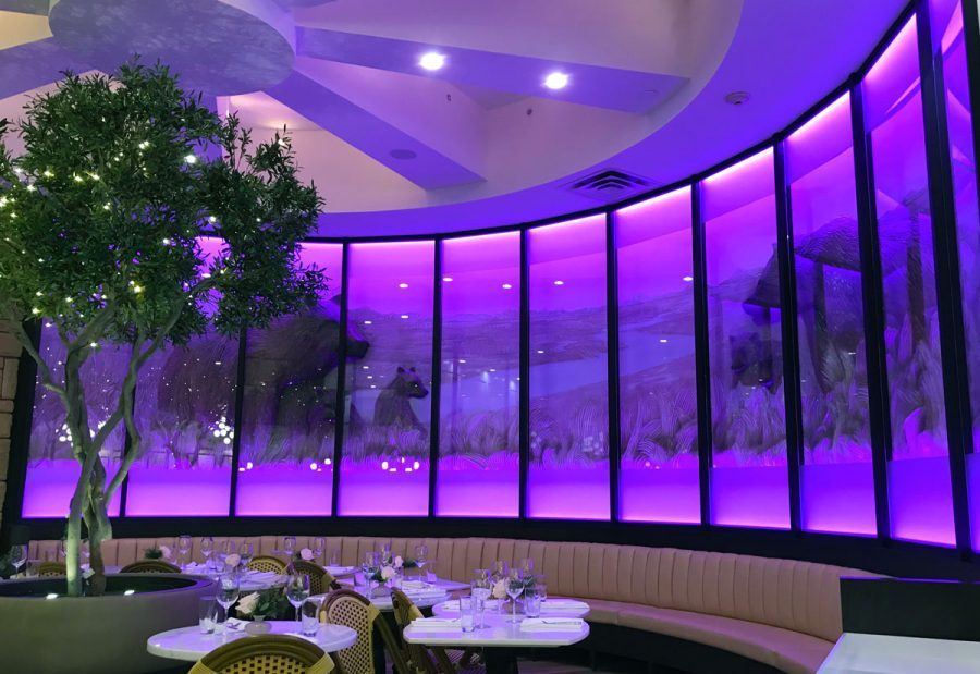 Frost window film on restaurant windows