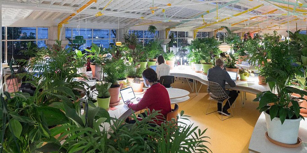 Green initiatives in offices with solar window linings.