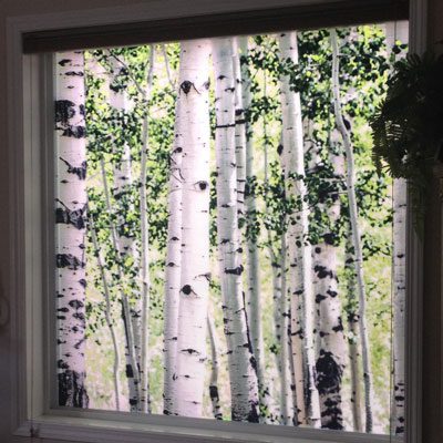Specialty Window Film Lining
